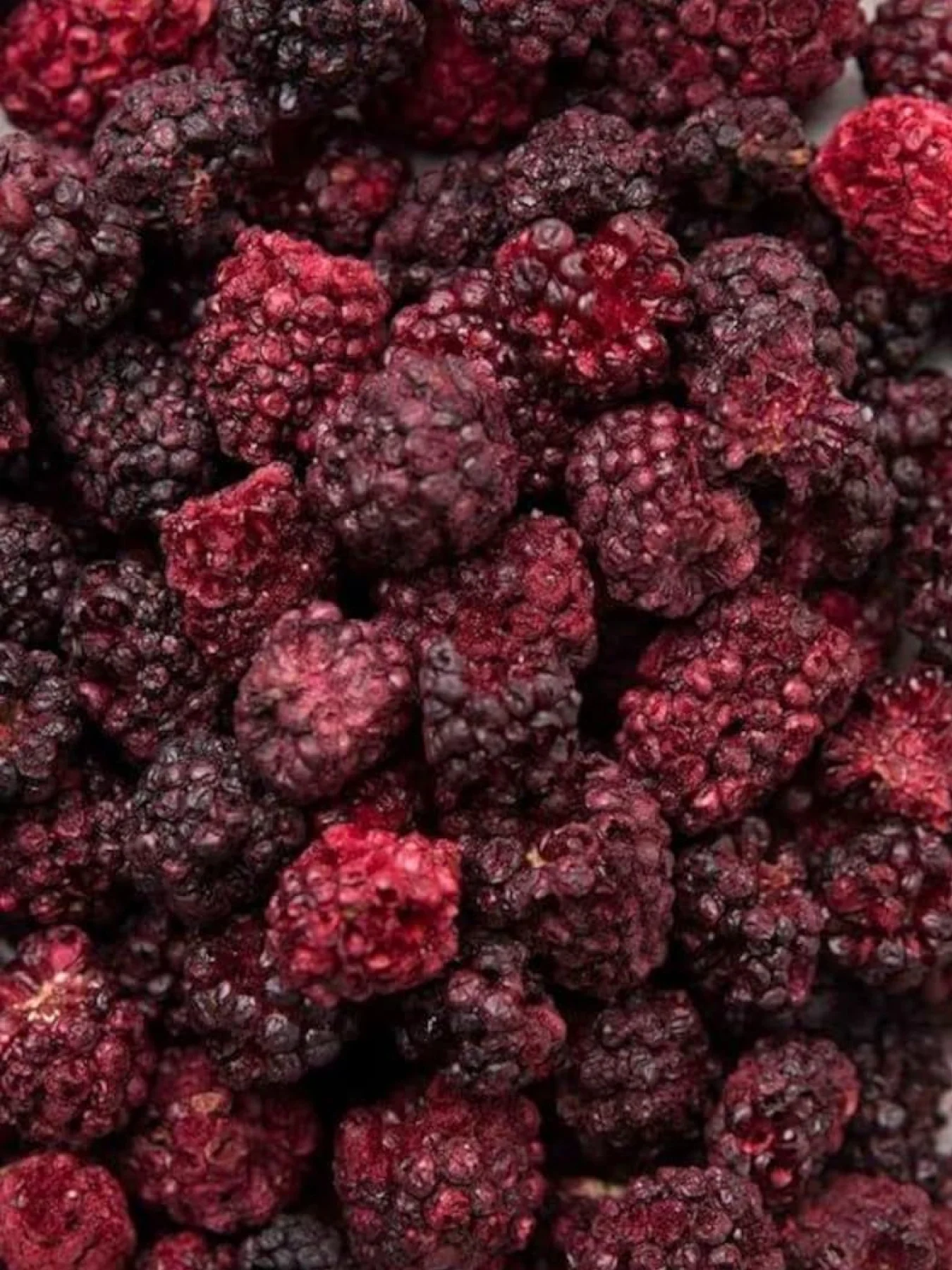 Freeze-Dried Blackberries - Image 3
