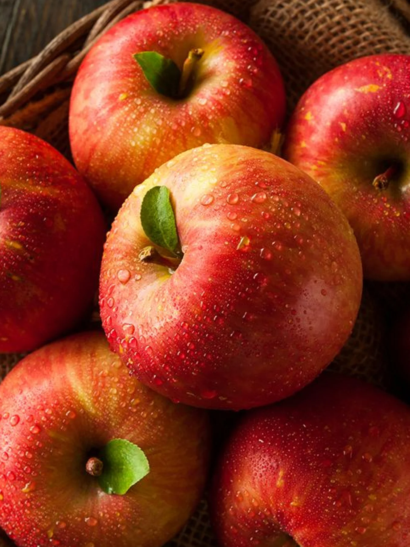 Fuji Apple