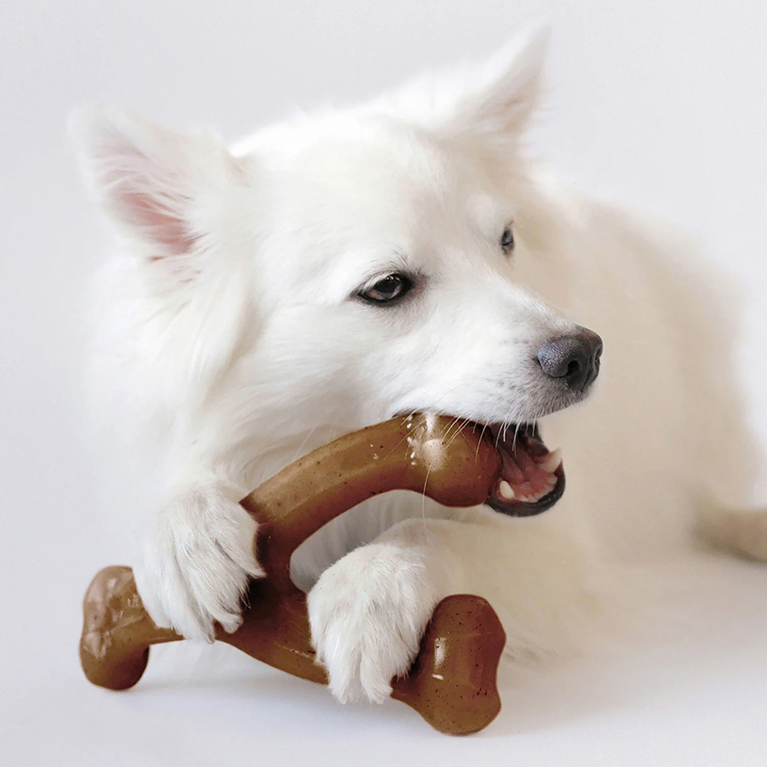 Benebone Wishbone Dog Chew New Toy Bacon pet - Image 2