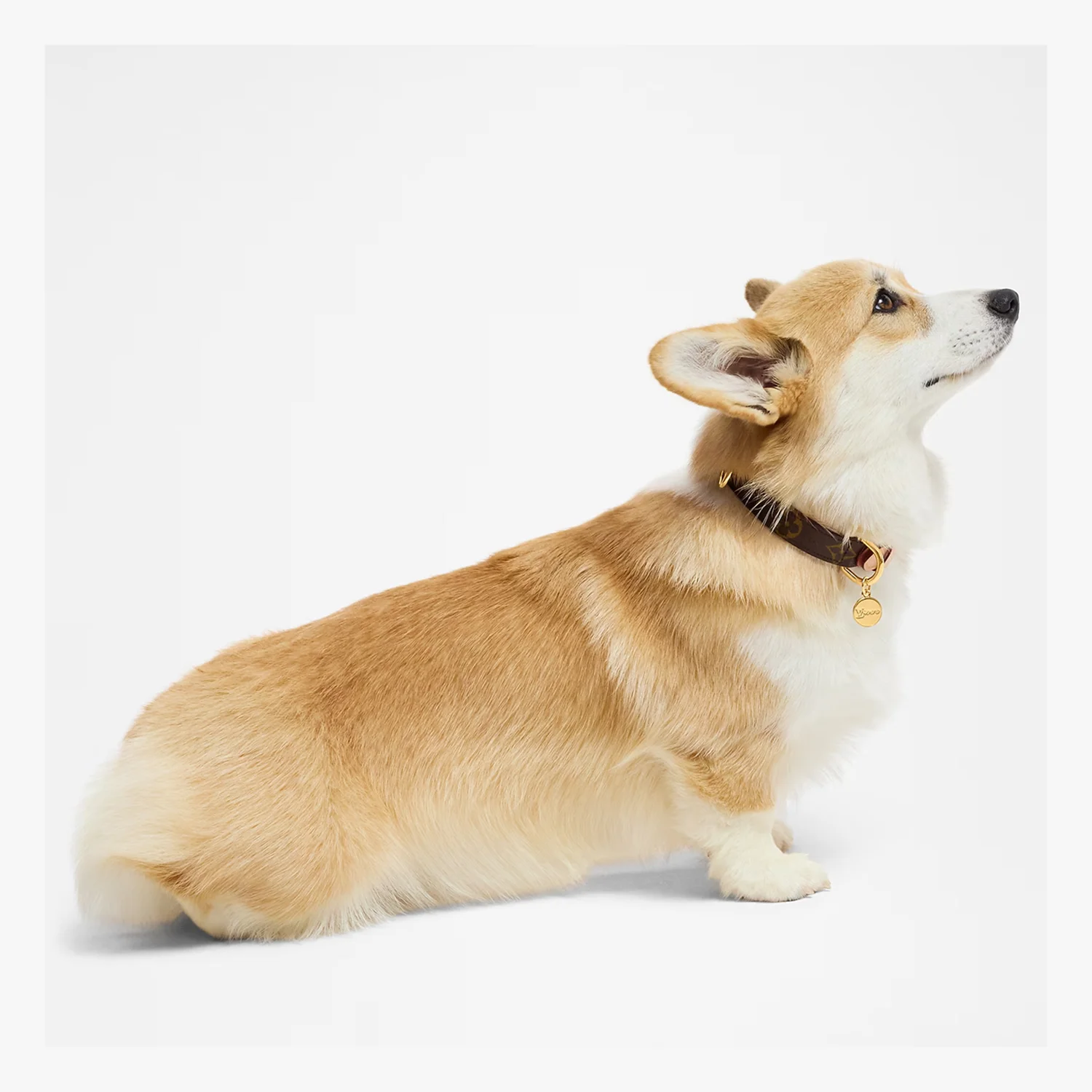 Louis Vuitton x Takashi Murakami Monogram Multicolor Dog - Image 3