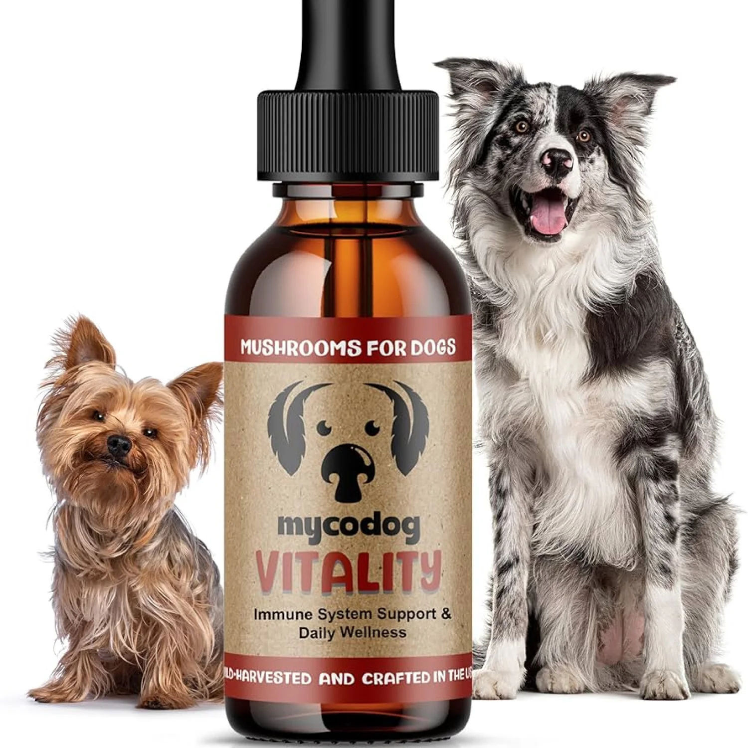 Mycodog Vitality: Immune & Overall Health Support Formula