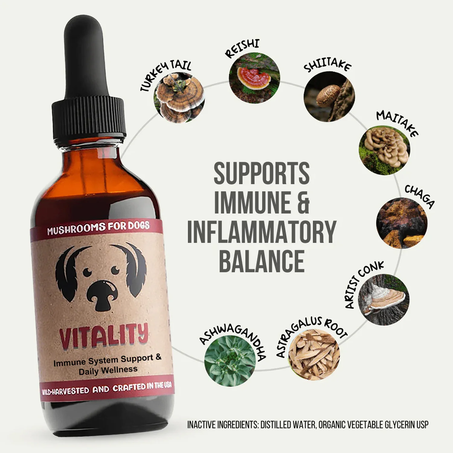 Mycodog Vitality: Immune & Overall Health Support Formula - Image 2