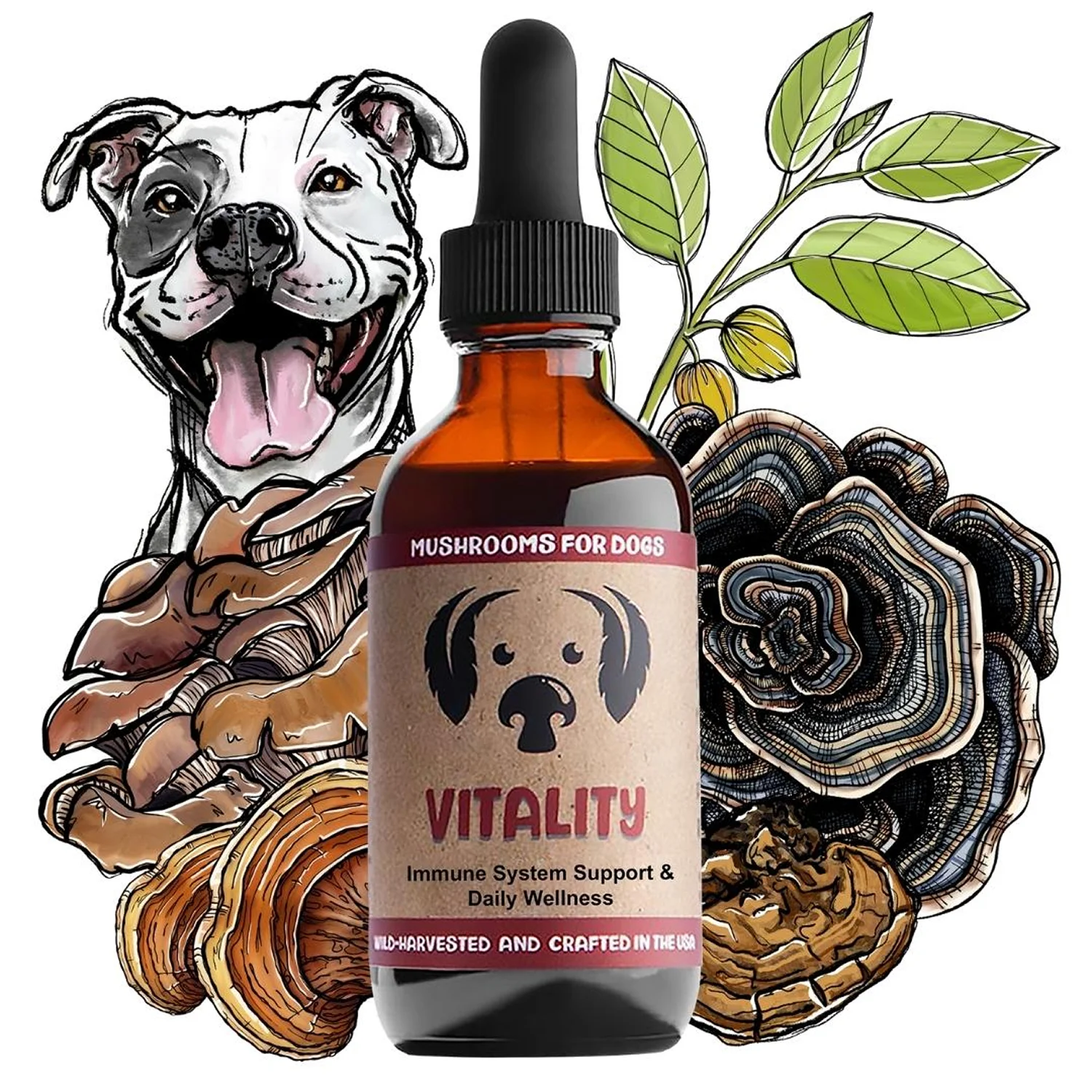 Mycodog Vitality: Immune & Overall Health Support Formula - Image 3