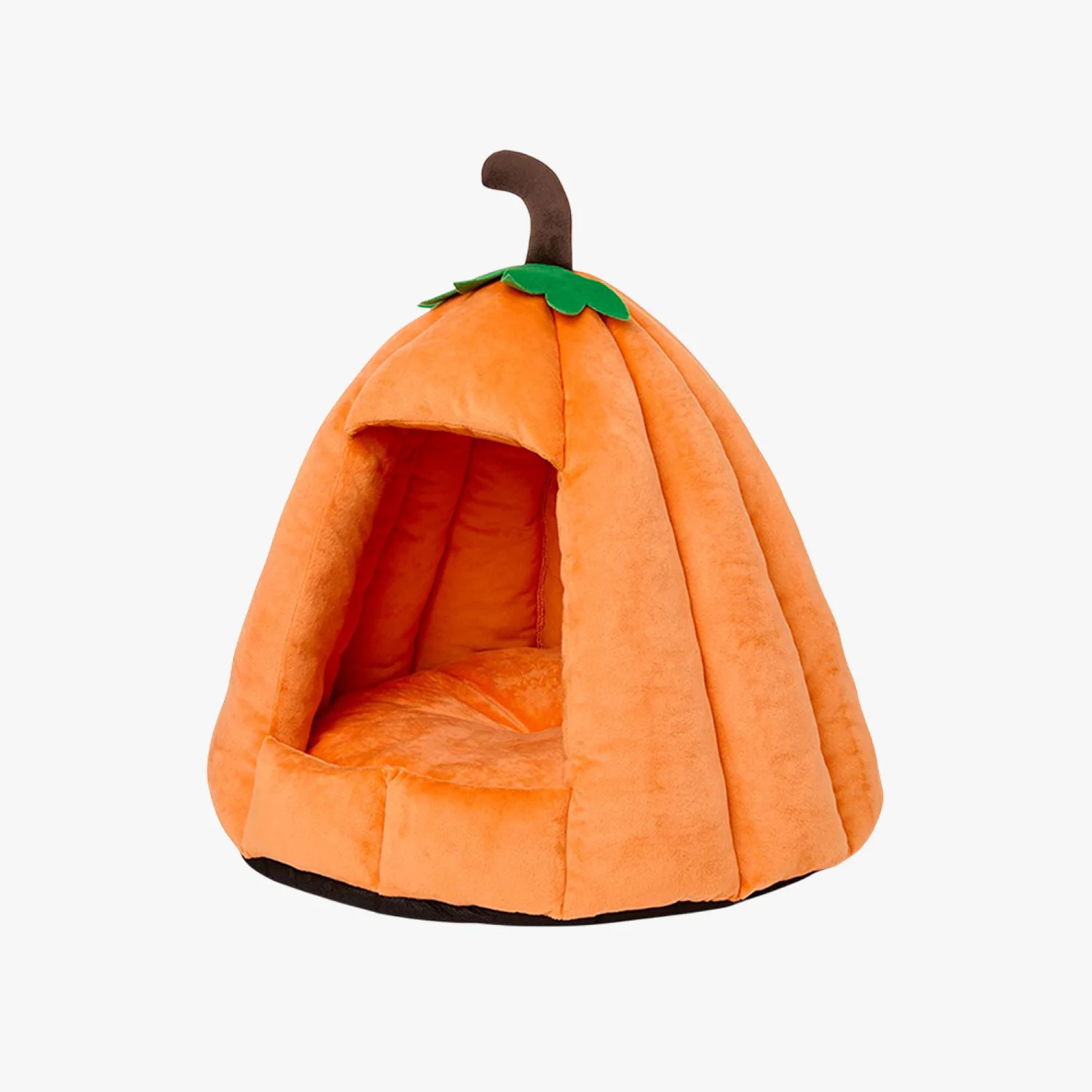 Pets at Home Halloween Jack O Lantern Cat & Small Dog