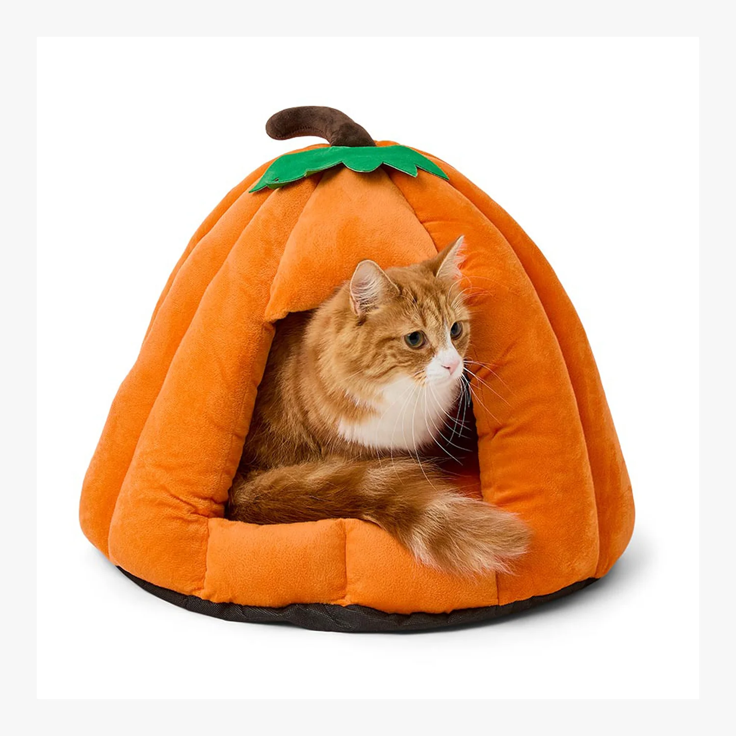 Pets at Home Halloween Jack O Lantern Cat & Small Dog - Image 3