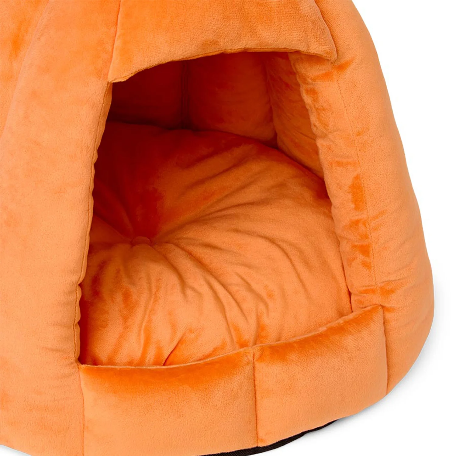 Pets at Home Halloween Jack O Lantern Cat & Small Dog