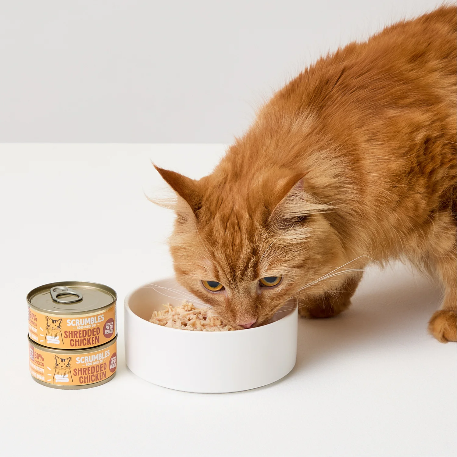 Scrumbles Complete Adult & Senior Dry Cat Food Chicken 2.5kg